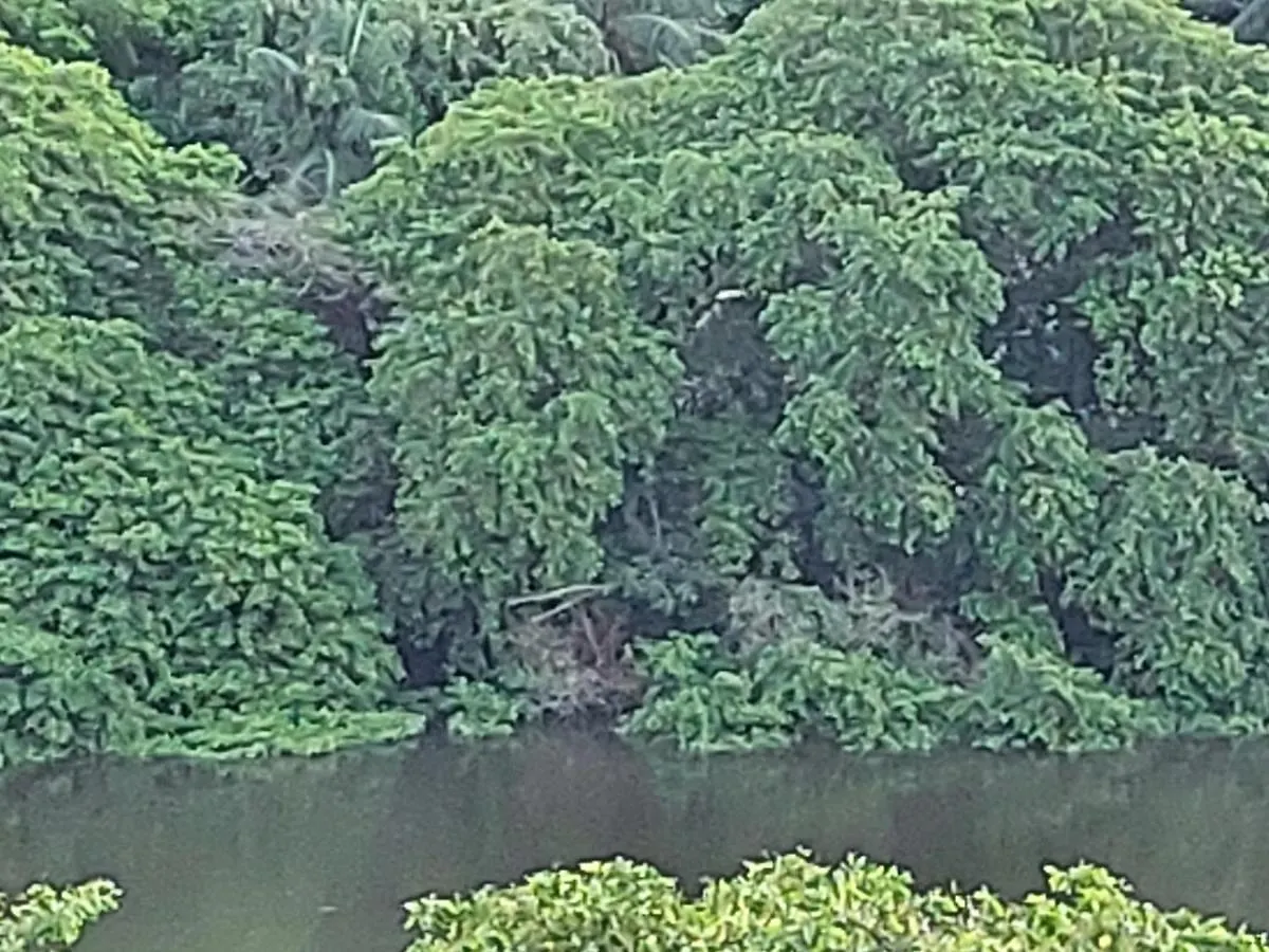2 Suites Amplas, Ventiladas Com Banheiro Privativo E Vista Para O Rio E 1 Quarto Individual Recife Quarto em Acomodações Particulares